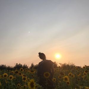 Meet your Posher, Trin